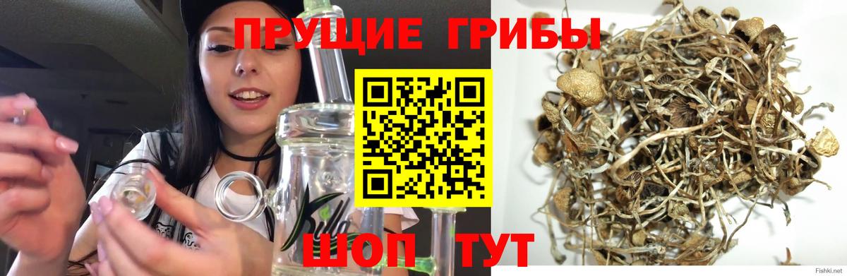 Галлюциногенные грибы Magic Shrooms  Вход с VPN  как найти закладки  Дальнегорск  Псилоцибиновые грибы мухоморы 